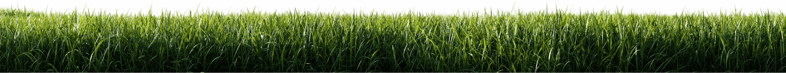 Lush green landscape with well-maintained grass and landscaping features.