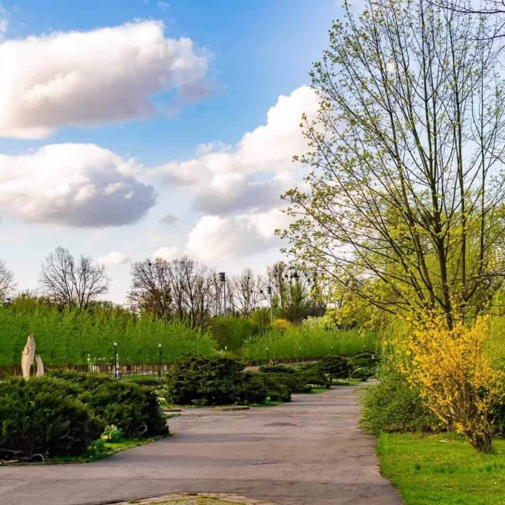 Beautiful landscaped garden with trees and pathway by Precision Landworks Inc.