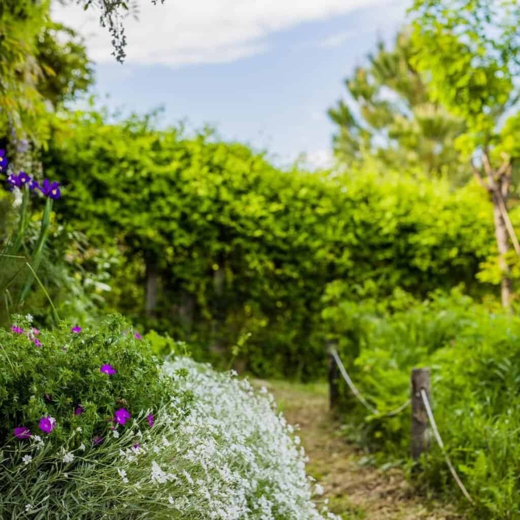 Lush green landscape with a garden path and vibrant flowering plants.